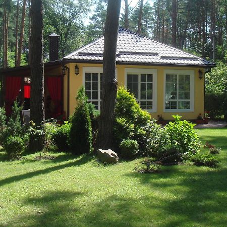 Domik V Lesy Guest House Lyutezh ภายนอก รูปภาพ