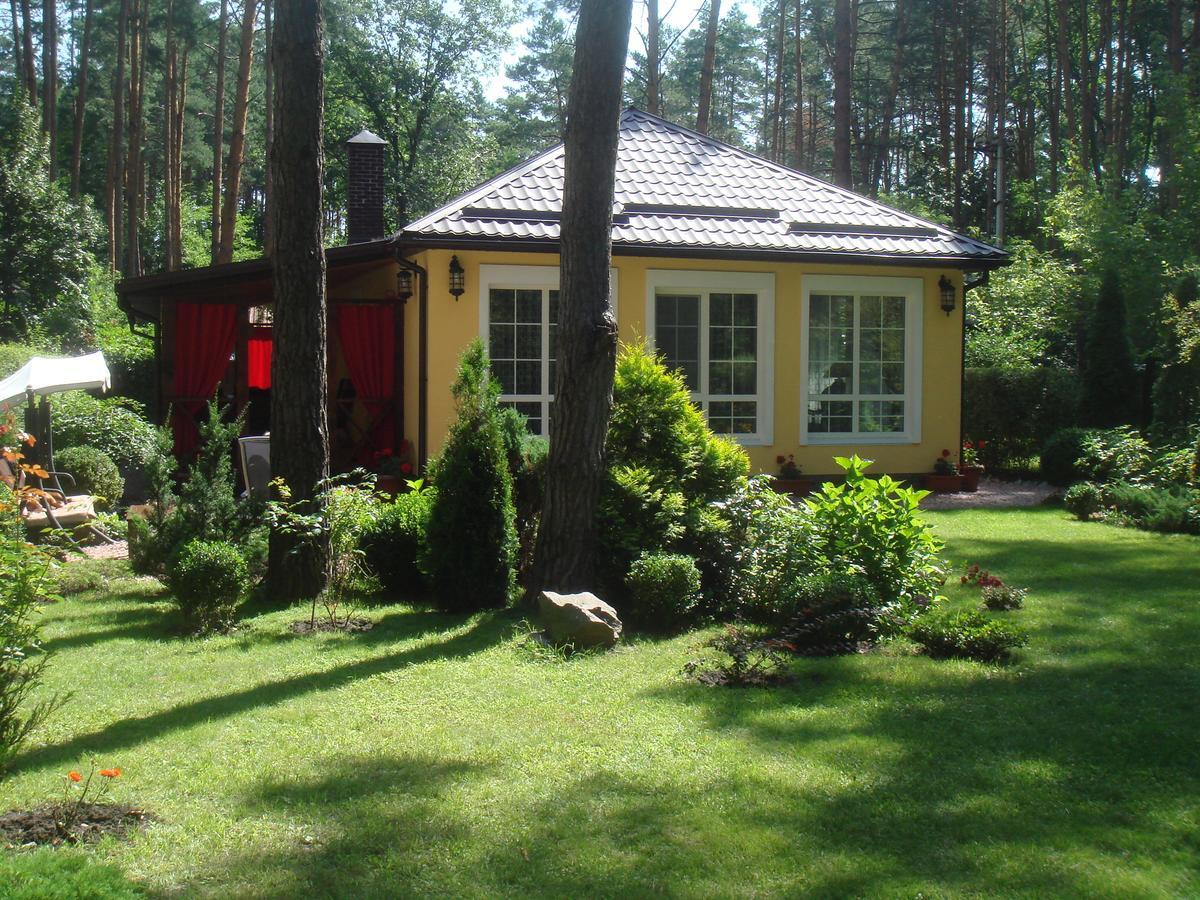 Domik V Lesy Guest House Lyutezh ภายนอก รูปภาพ
