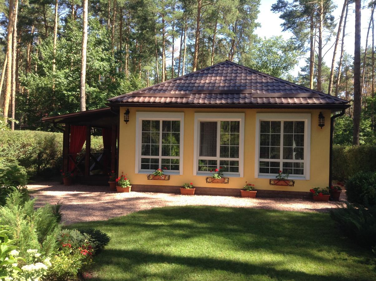 Domik V Lesy Guest House Lyutezh ภายนอก รูปภาพ